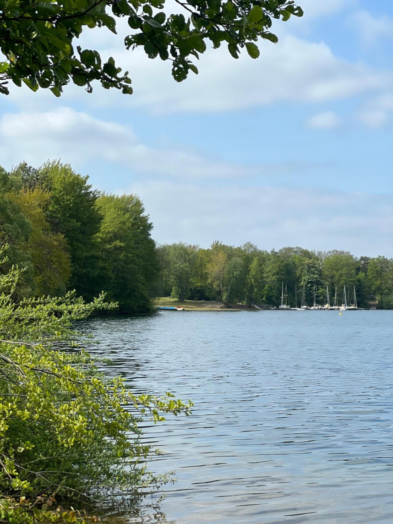 Cottage & Garden & Sauna Am See Wettringen  Luaran gambar